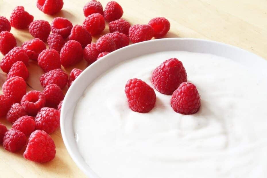 yaourt sans lactose